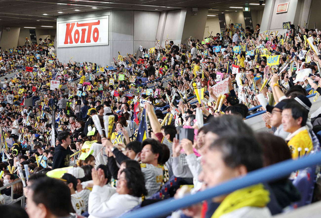 オリックス対阪神　応援する阪神ファン（撮影・宮地輝）