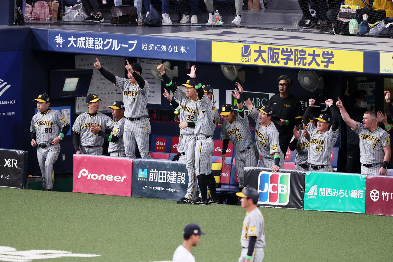 オリックス対阪神　5回表阪神1死三塁、渡辺の中前適時打で先制し盛り上がる阪神ベンチ（撮影・加藤哉）