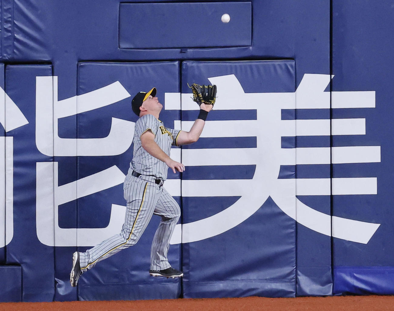 オリックス対阪神　7回裏オリックス2死、頓宮の左飛を好捕する阪神ノイジー（撮影・藤尾明華）