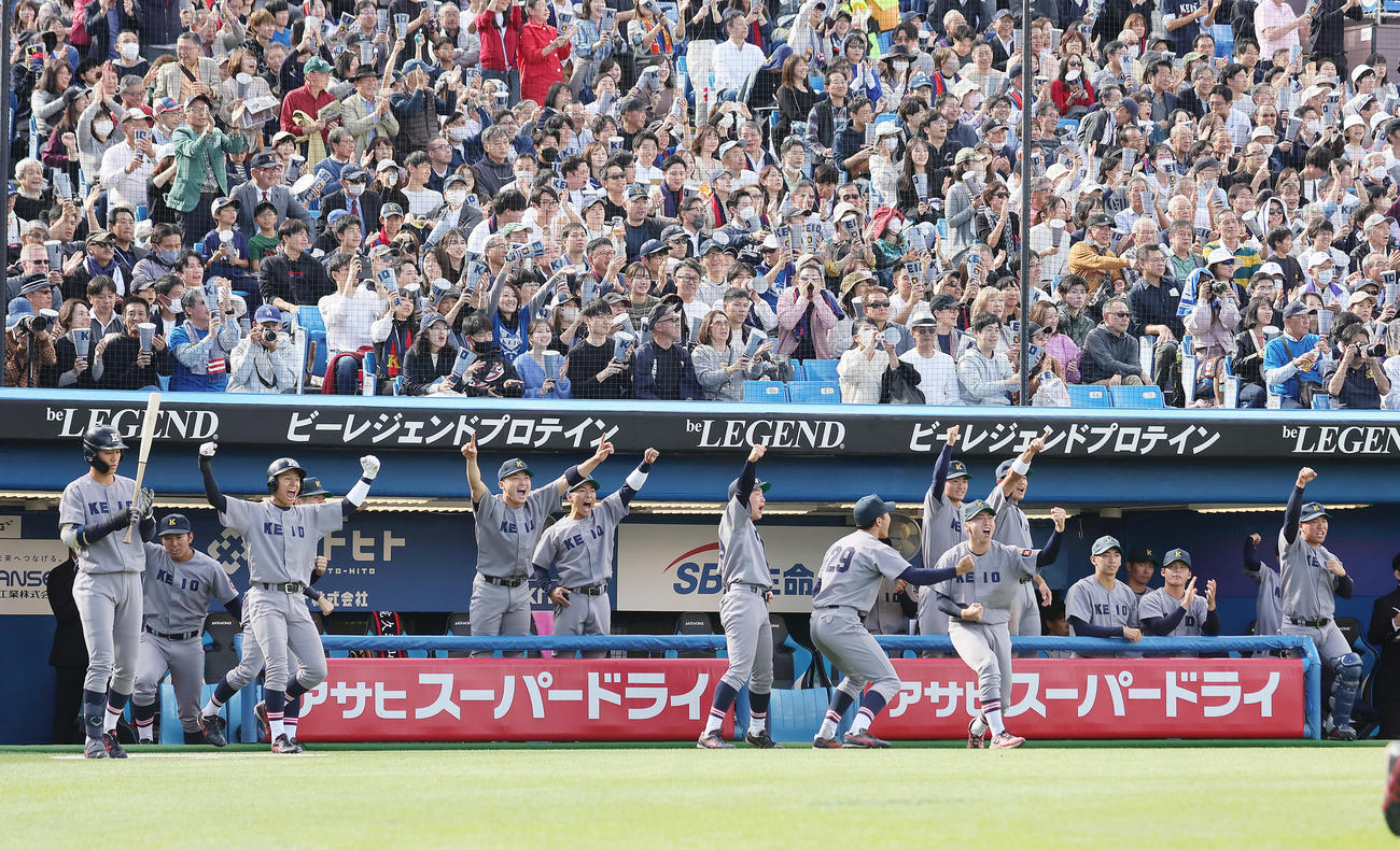 早大対慶大　1回裏慶大無死満塁、宮崎の右前適時打に盛り上がるベンチ（撮影・足立雅史）