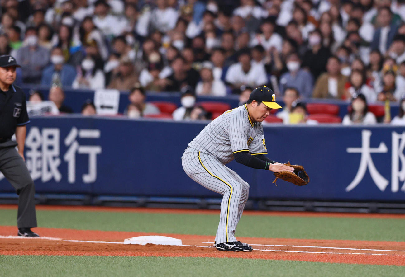 オリックス対阪神　1回裏オリックス1死一塁、一塁手大山は森の打球を捕球する（撮影・上山淳一）