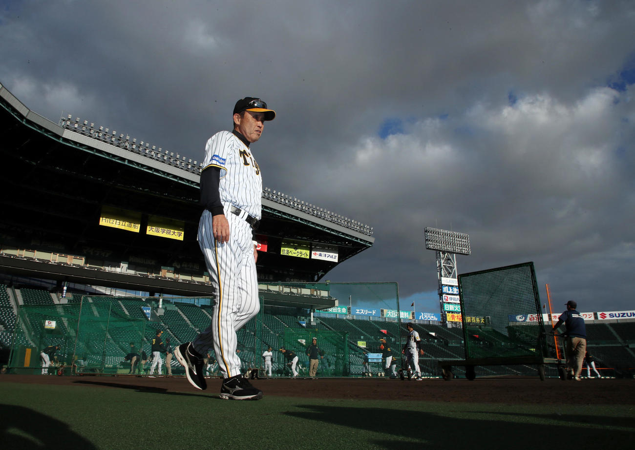 練習を終え銀傘を背に引き揚げる岡田監督（撮影・加藤哉）