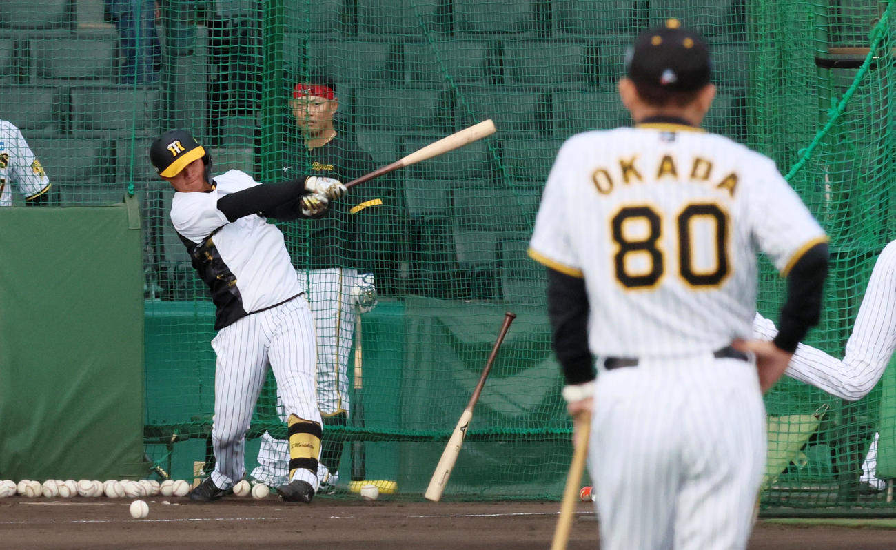 岡田監督（右）が見守る中、打撃練習を行う森下（撮影・加藤哉）
