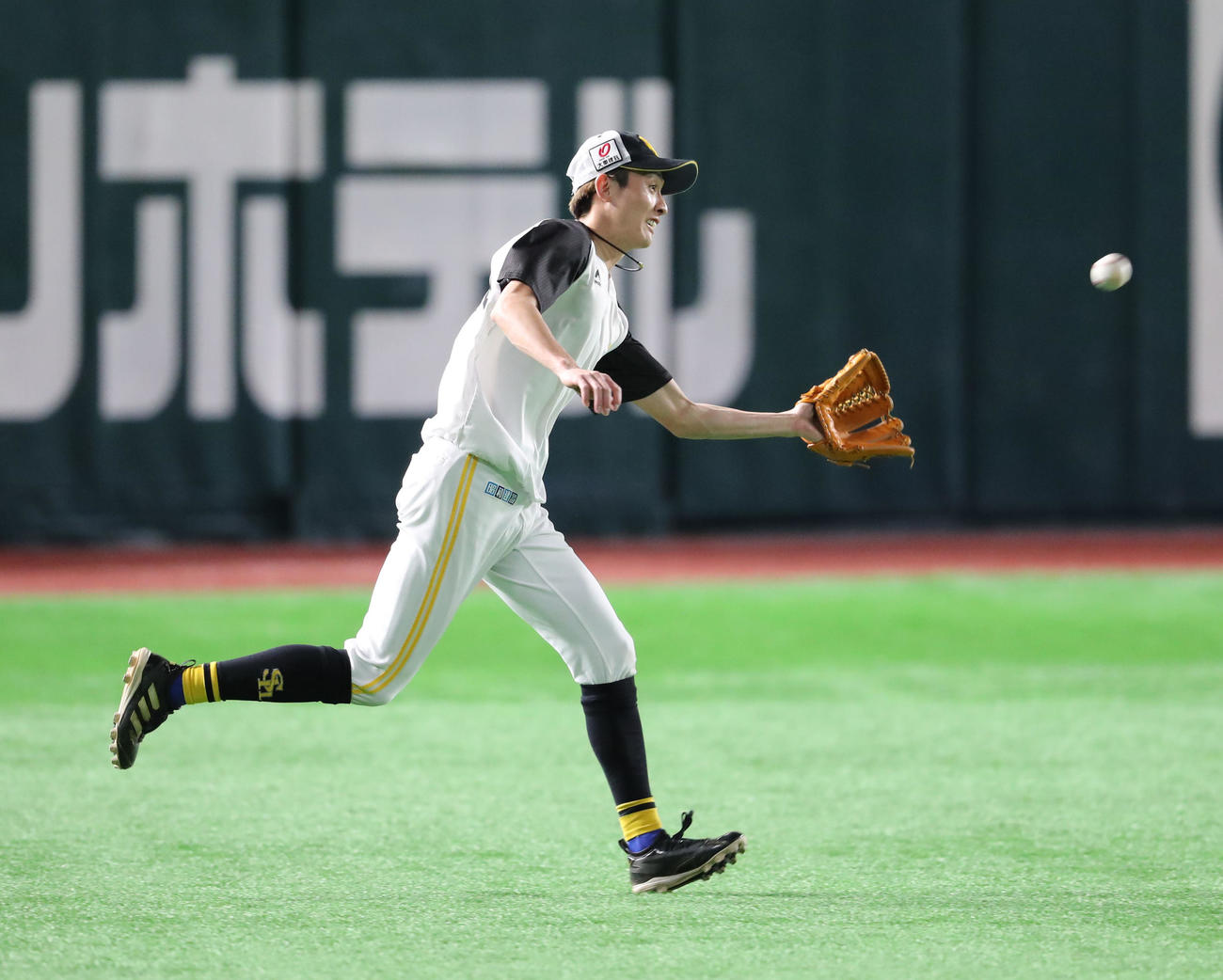 元気よく守備練習を行う周東（撮影・梅根麻紀）