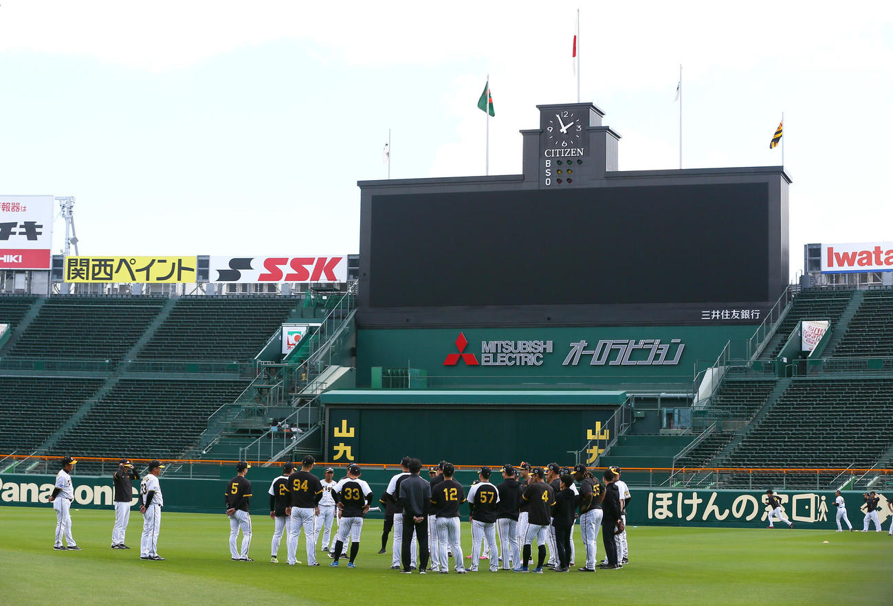 甲子園球場で練習を前に円陣を組む阪神野手陣（撮影・上山淳一）