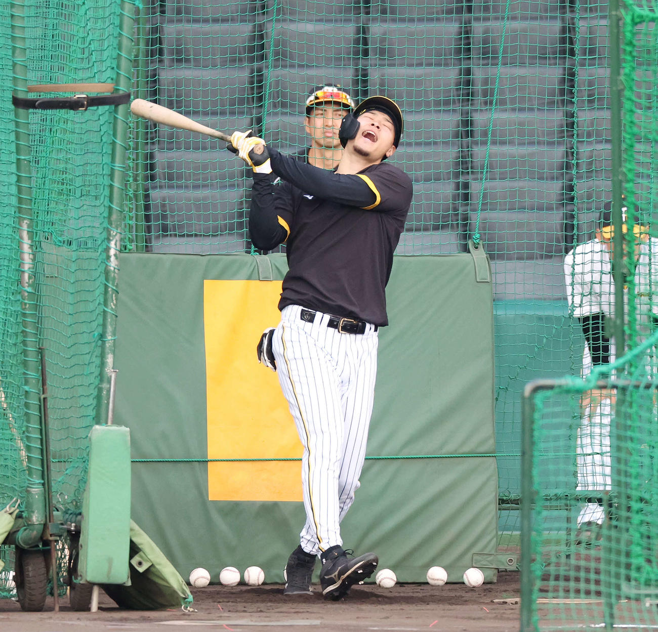 打撃練習中、厳しい表情を見せる阪神佐藤輝（撮影・宮地輝）