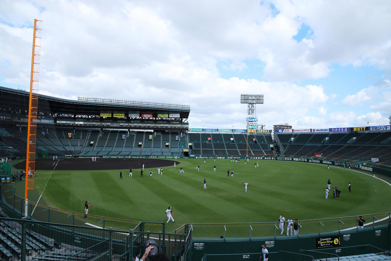 甲子園球場に戻って練習する阪神ナイン（撮影・加藤哉）