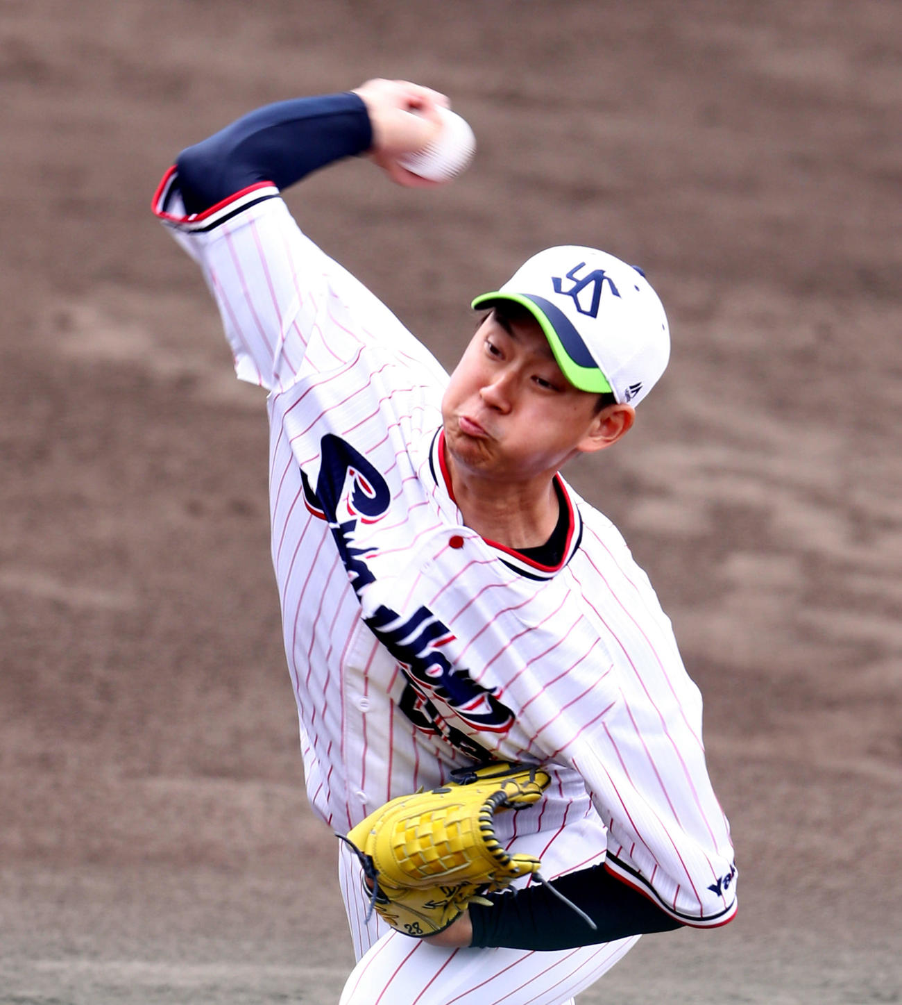 ヤクルト吉田大喜（2021年2月10日撮影）