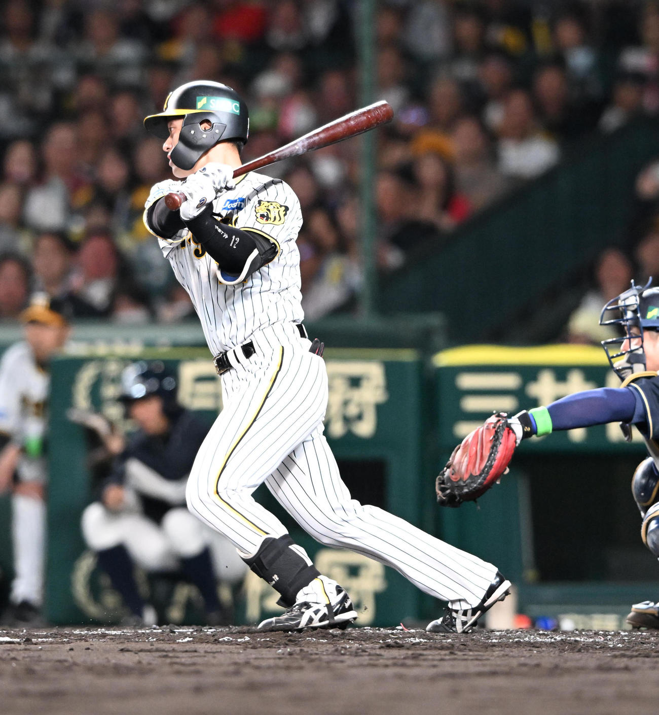 阪神対オリックス　2回裏阪神1死一、三塁、二ゴロを打ち三塁走者を迎える坂本（撮影・和賀正仁）