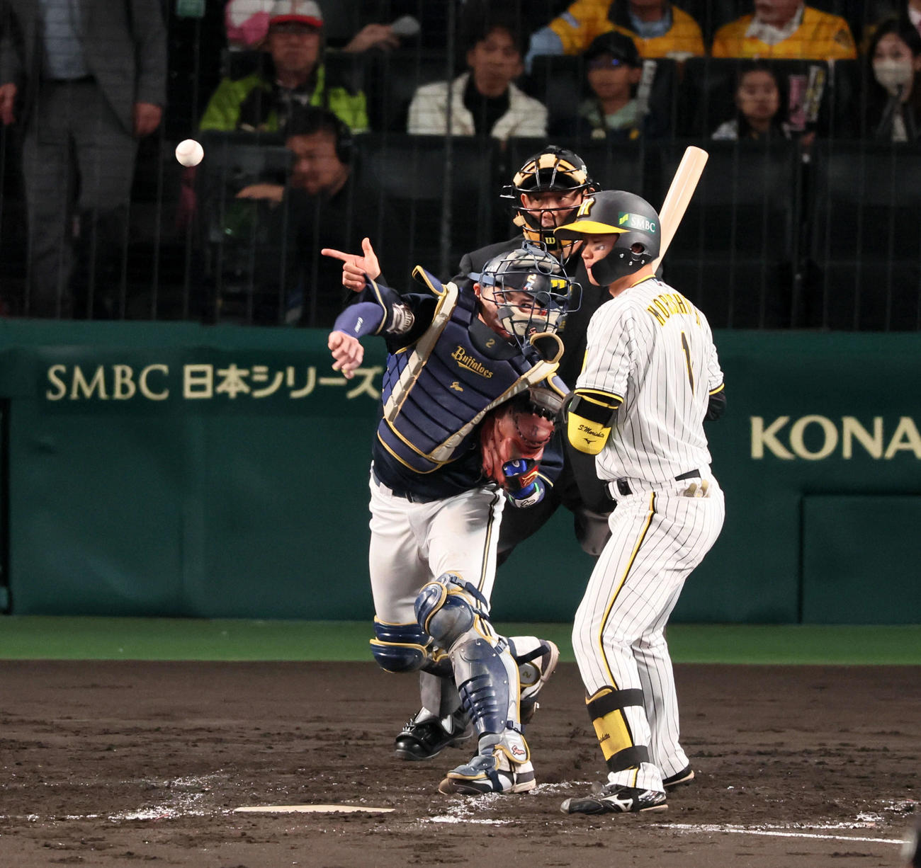 阪神対オリックス　3回裏阪神1死一塁、若月は打者森下のとき一塁走者近本の二塁盗塁を刺す（撮影・加藤哉）