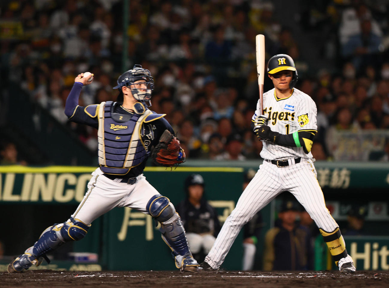 阪神対オリックス　3回裏阪神1死一塁、打者森下の時、捕手若月は近本の盗塁を刺す（撮影・上山淳一）