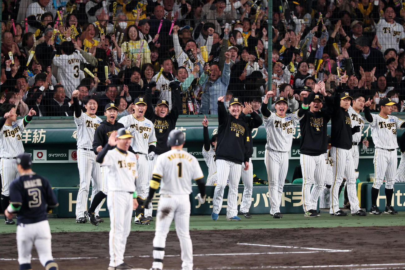 阪神対オリックス　7回裏阪神2死二、三塁、森下の右適時打にベンチで笑顔を見せるナイン（撮影・加藤哉）