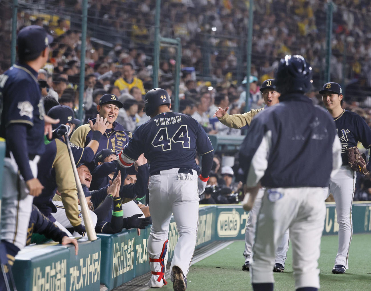 阪神対オリックス　4回表オリックス2死、同点本塁打を放った頓宮を出迎える東（右端）らオリックスナイン（撮影・藤尾明華）