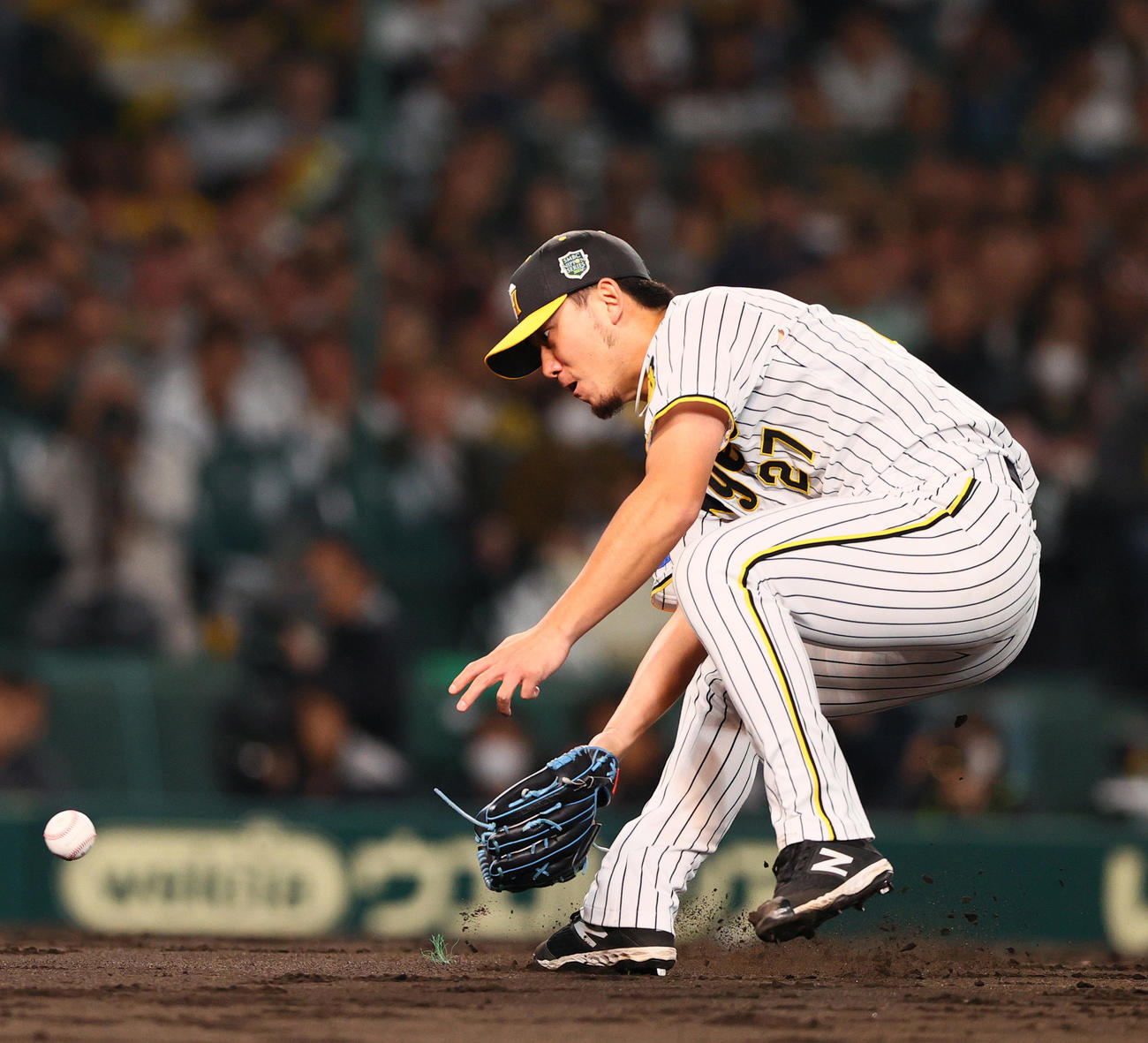 阪神対オリックス　5回表オリックス1死一塁、伊藤将は東のバントを悪送球する（撮影・上山淳一）