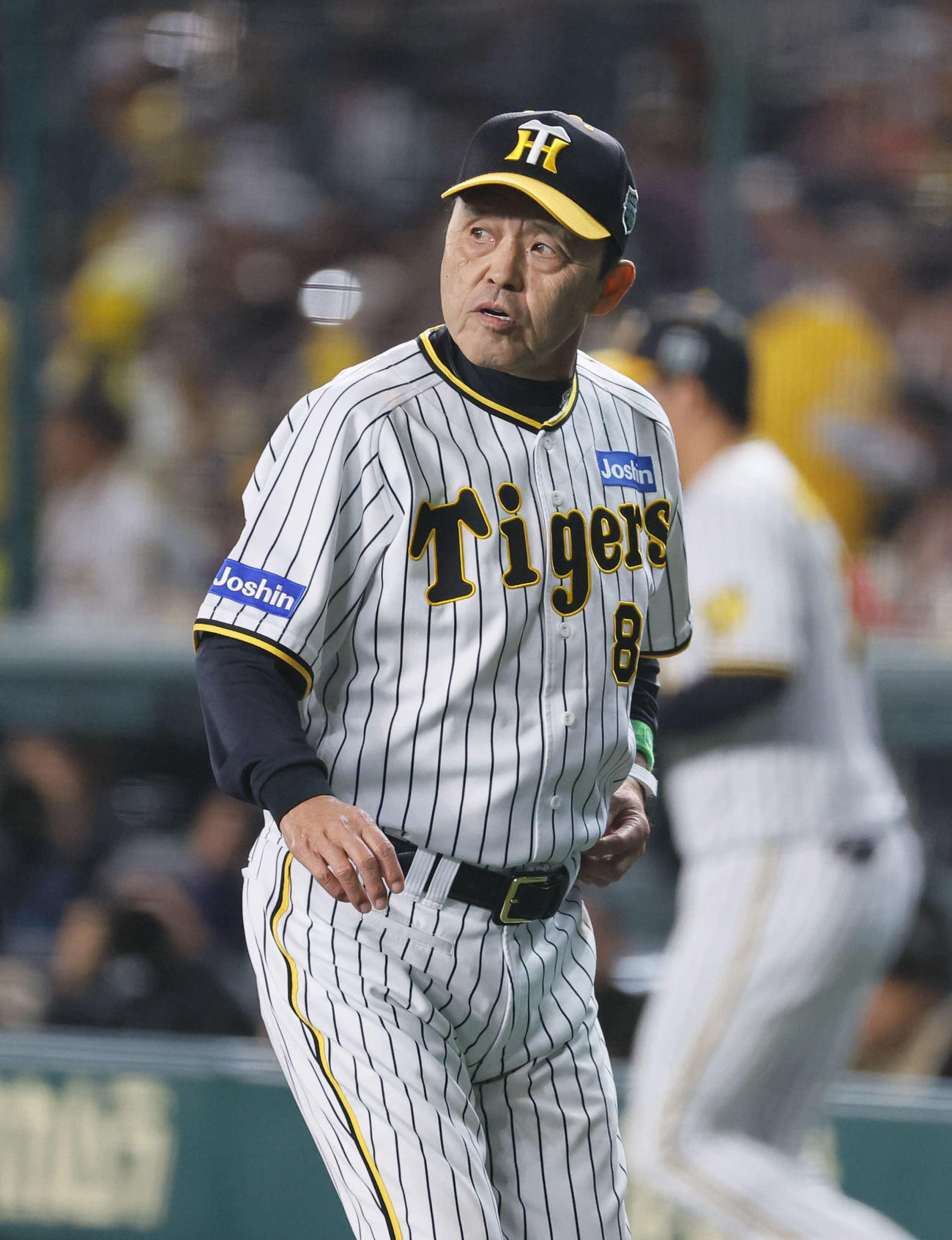 阪神対オリックス　9回、交代を告げベンチに戻る阪神岡田監督（撮影・藤尾明華）
