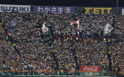 阪神】オリックスに敗れ悲願だった甲子園での日本一はほぼ絶望的に