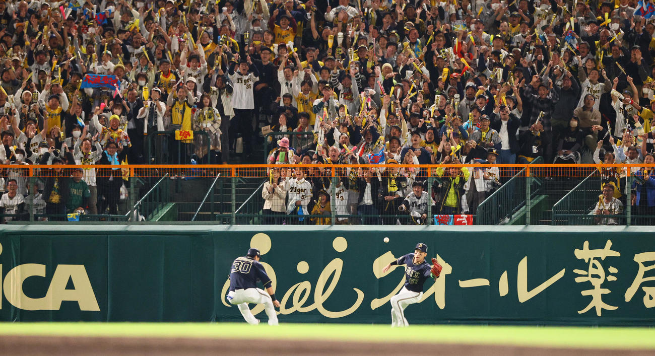阪神対オリックス　2回裏阪神2死一塁、木浪の中二塁打で盛り上がる阪神ファン（撮影・上山淳一）