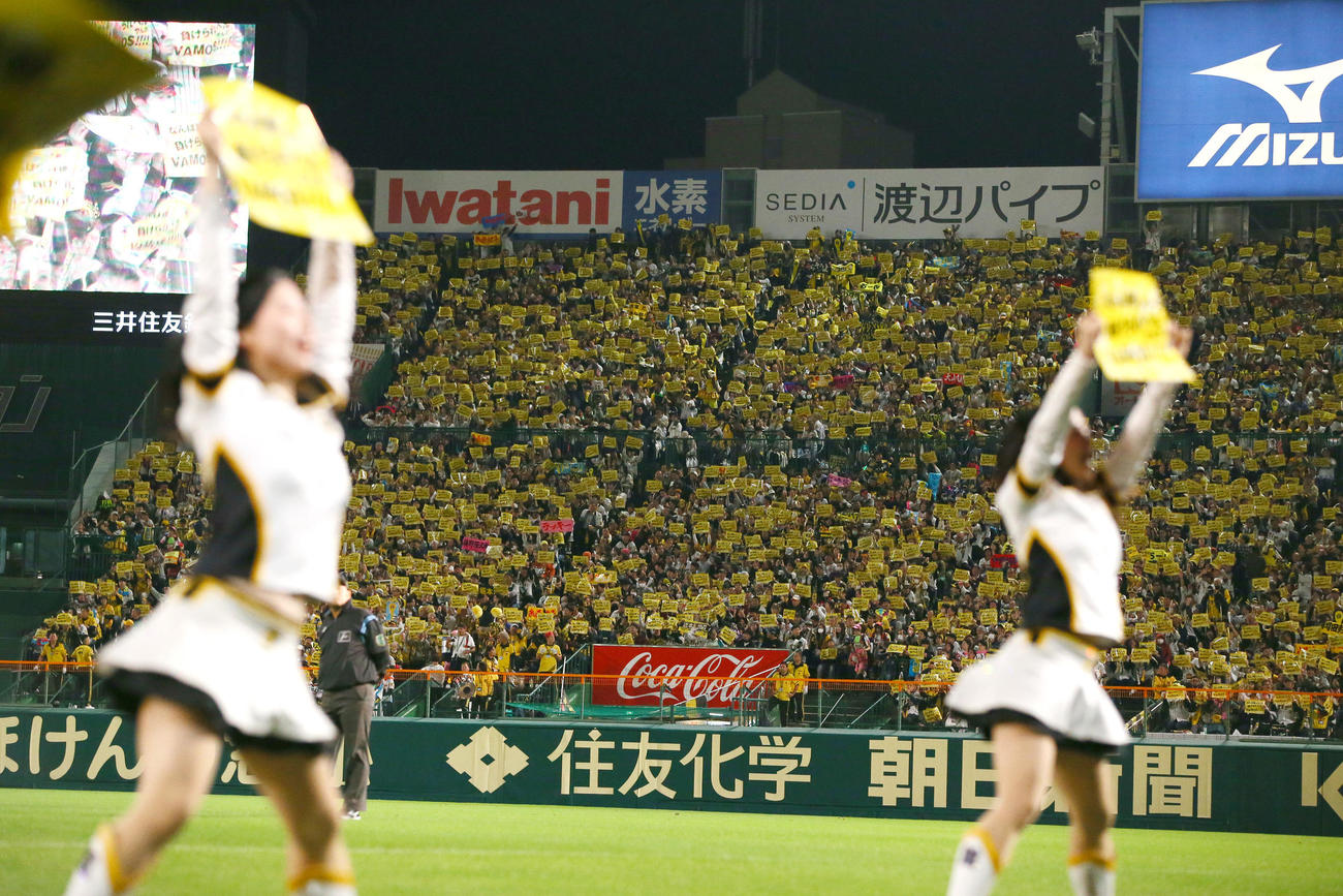 阪神対オリックス　ラッキー7で盛り上がる阪神ファン（撮影・上山淳一）