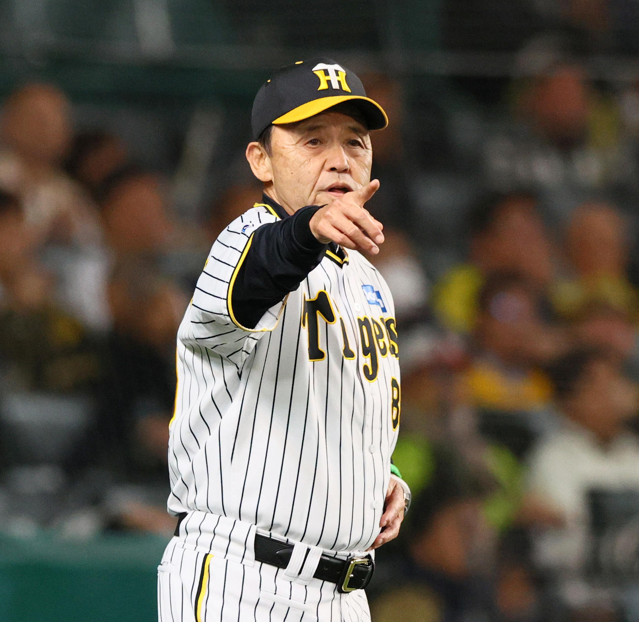 阪神対オリックス　8回裏阪神1死一塁、岡田監督は中前打を放ったノイジーに代え、島田を代走に送る（撮影・上山淳一）