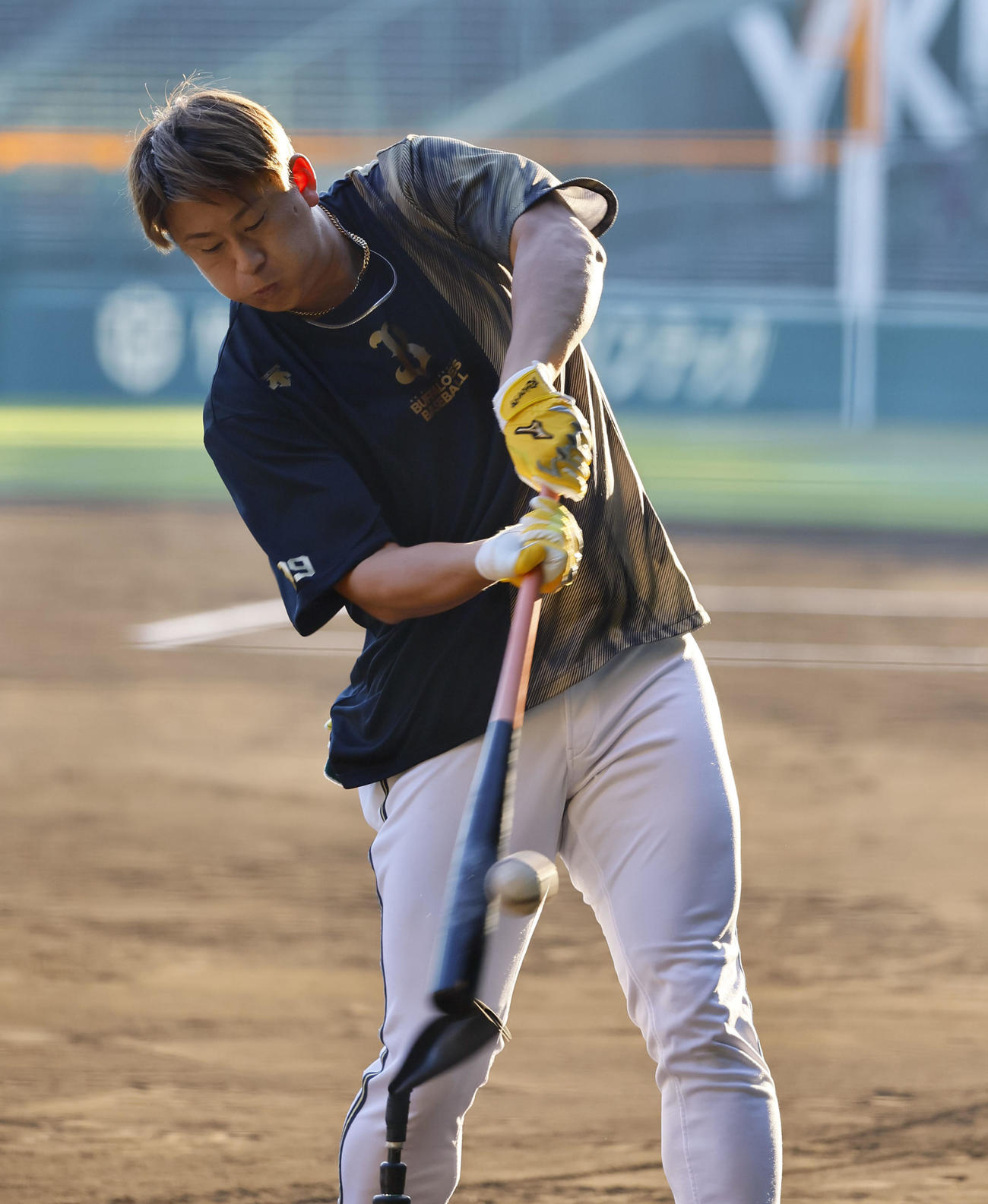 阪神対オリックス　打撃練習をするオリックス杉本（撮影・藤尾明華）