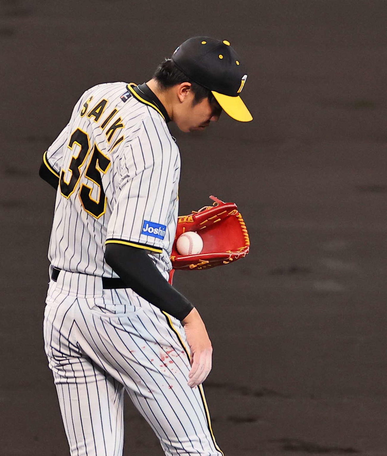 日本シリーズ第4戦　阪神対オリックス　才木は血がにじむ右手親指をユニホームでふく（撮影・上田博志）