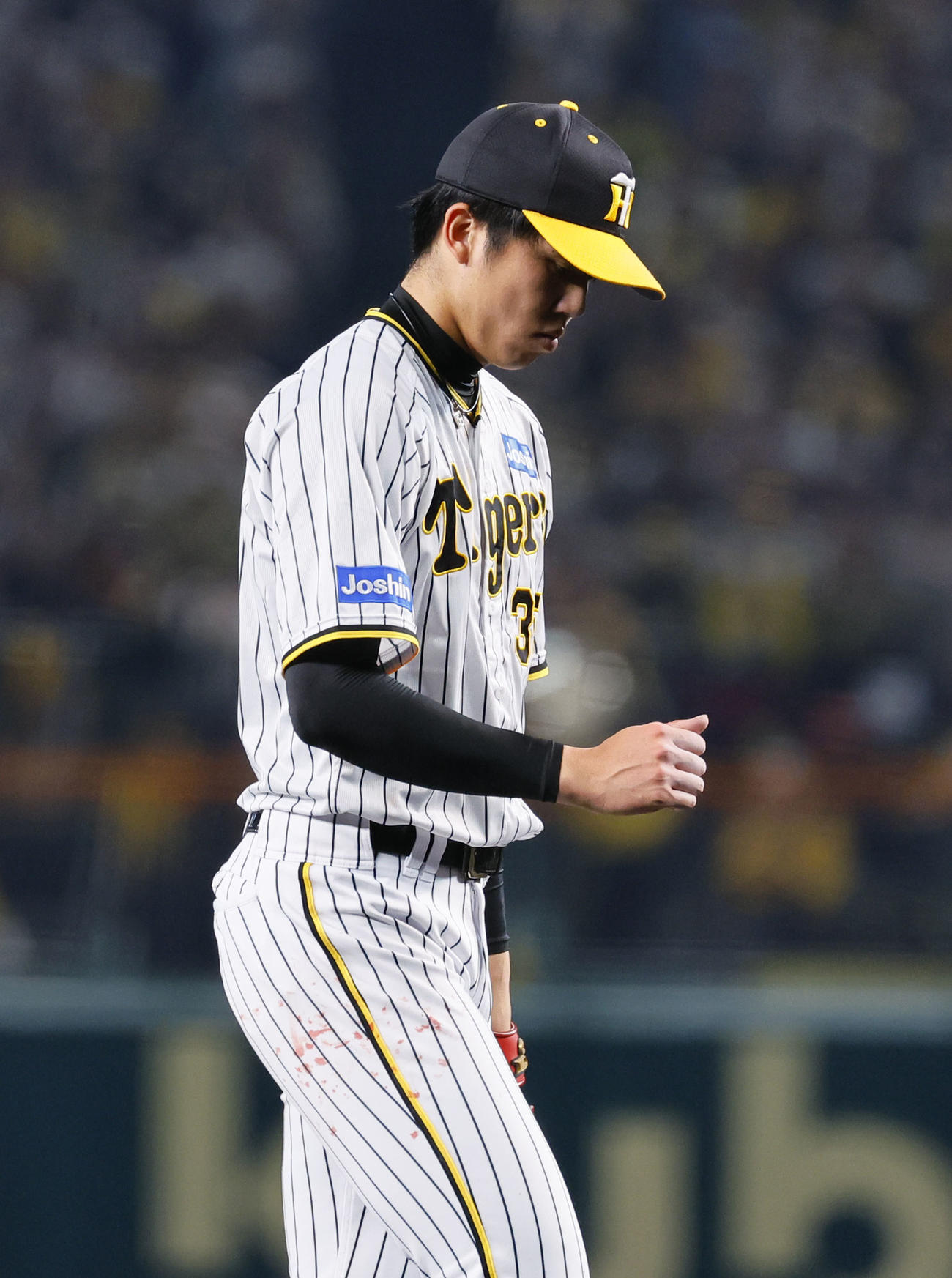 阪神対オリックス　2回を終え、流血する親指を気にしながらベンチに戻る阪神才木（撮影・藤尾明華）