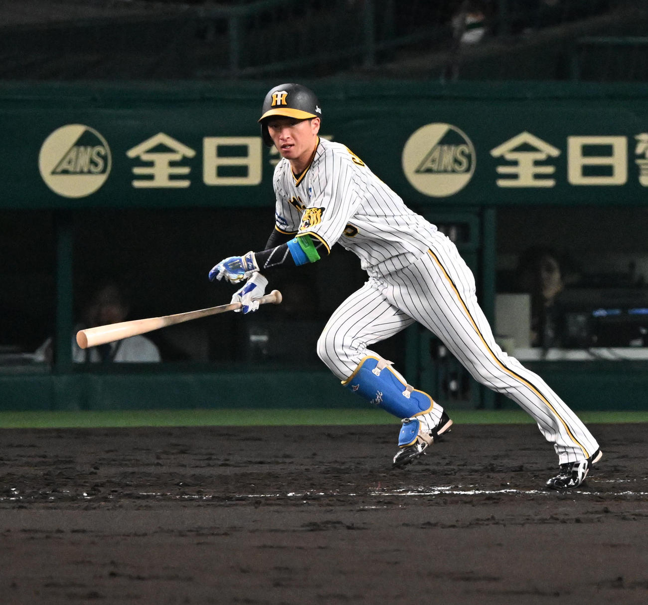 阪神対オリックス　2回裏阪神2死一、二塁、近本は左前適時打を放つ（撮影・石井愛子）