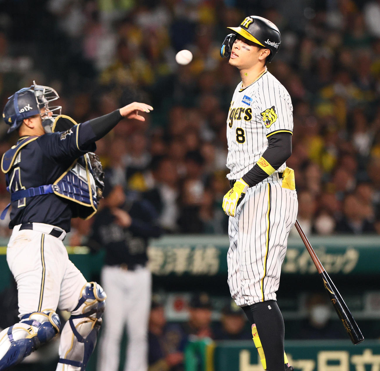 阪神対オリックス　6回裏阪神無死、佐藤輝は見逃し三振に倒れる（撮影・上山淳一）