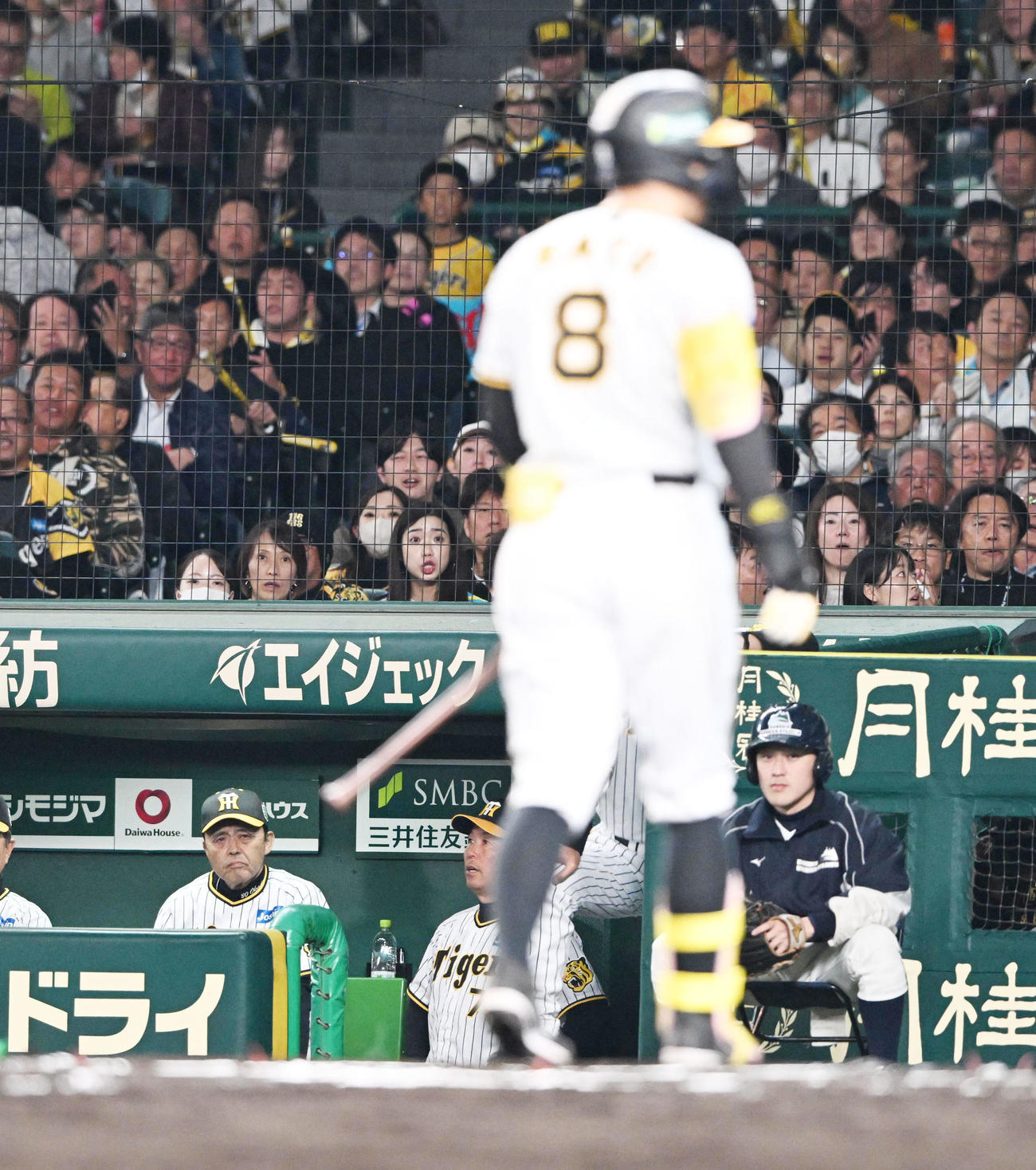 阪神対オリックス　6回裏阪神無死、見逃し三振に倒れた佐藤輝を見つめる岡田監督（撮影・和賀正仁）