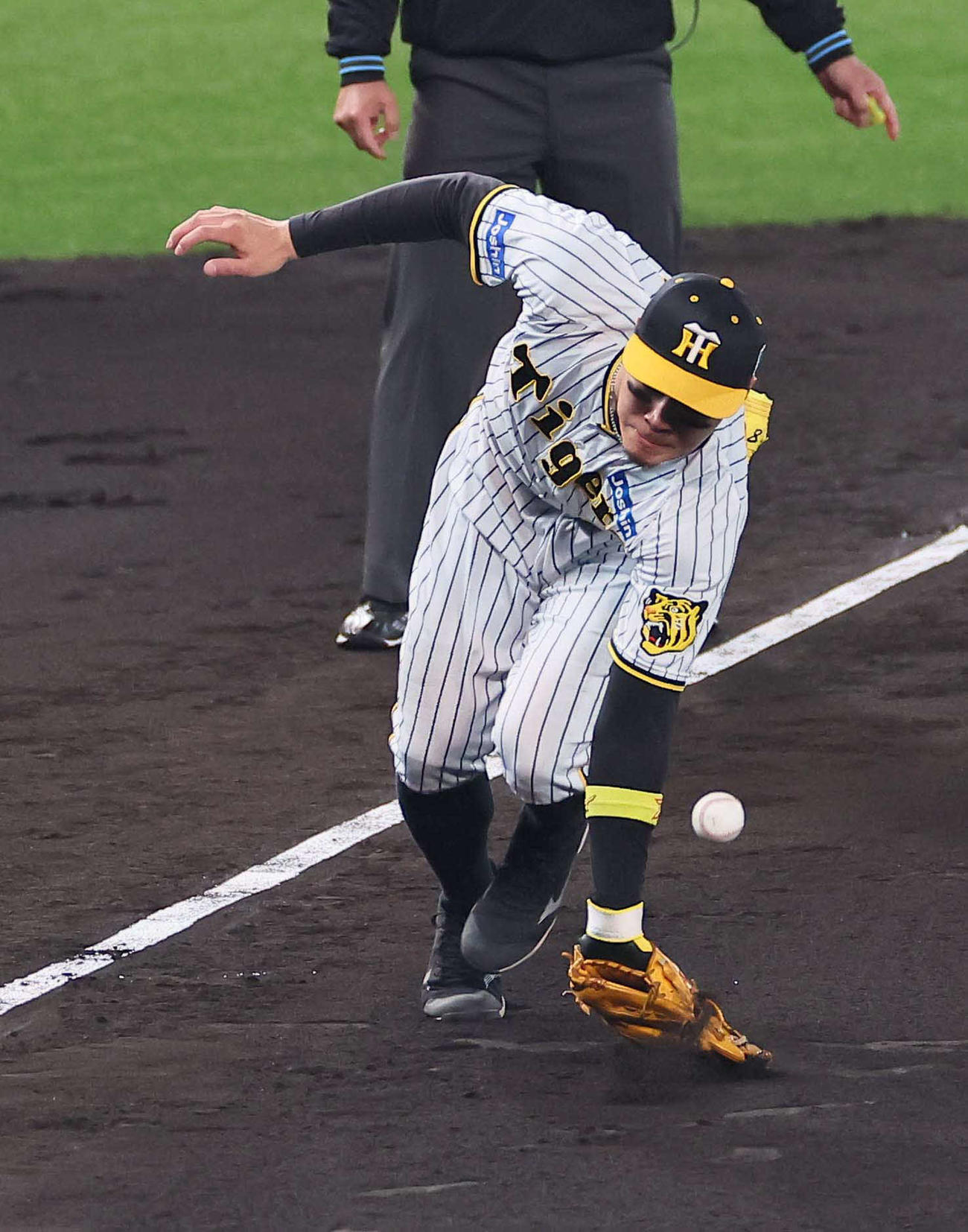 阪神対オリックス　7回表オリックス無死、佐藤輝は広岡のゴロを失策（撮影・上田博志）
