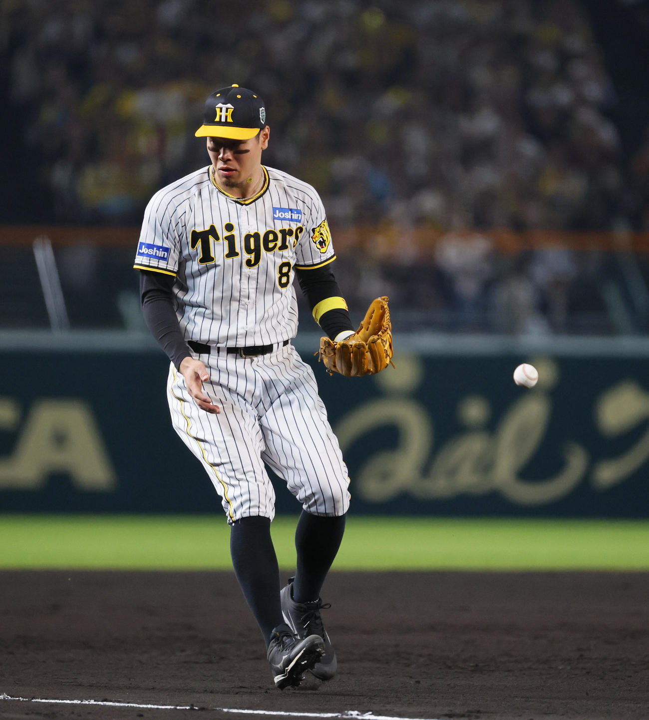 阪神対オリックス　7回表オリックス無死、広岡の三ゴロでボールをはじく阪神佐藤輝（撮影・藤尾明華）