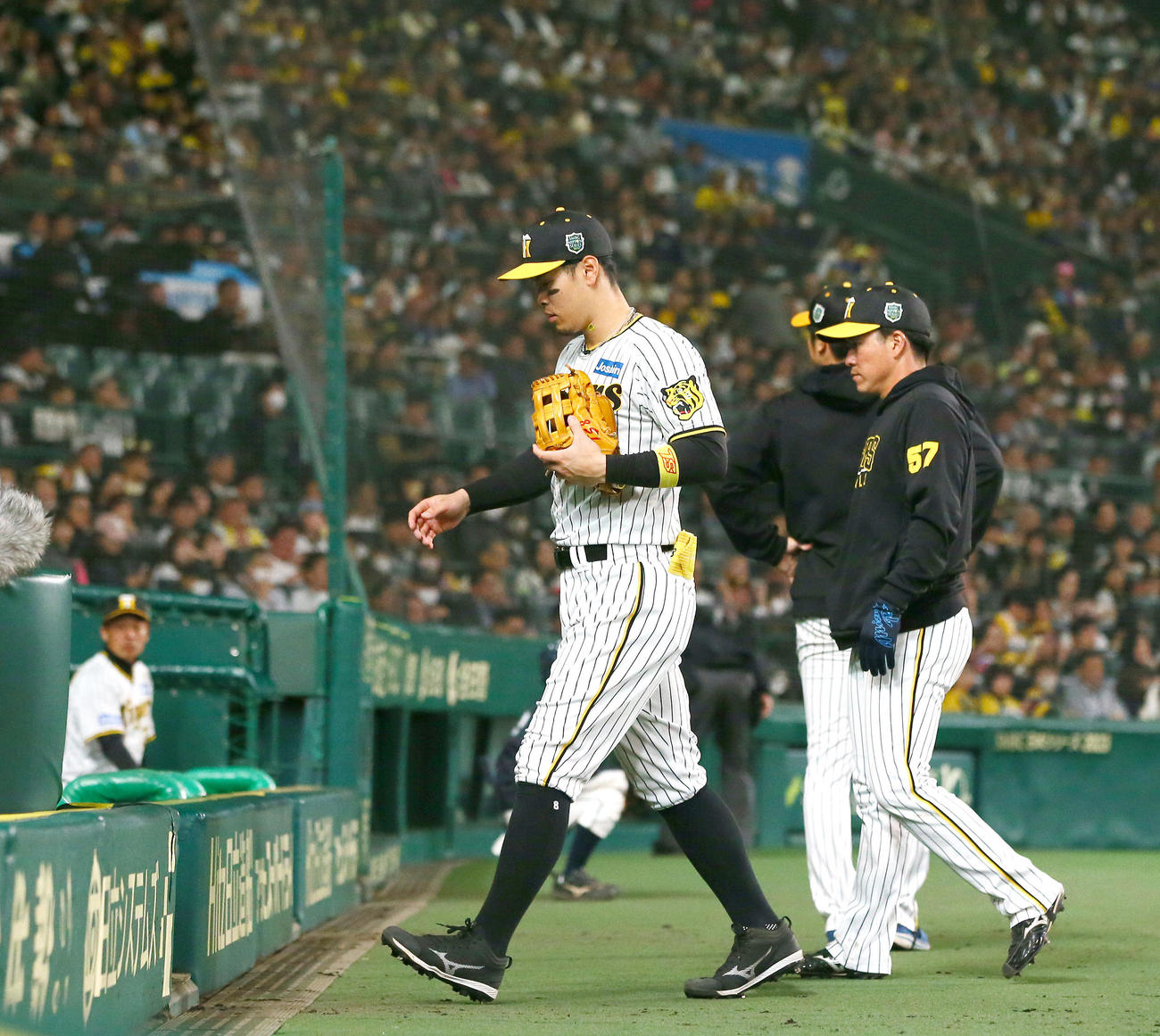 阪神対オリックス　7回表オリックス1死一、二塁、佐藤輝（手前）は打者頓宮を前に交代となりベンチへ向かう（撮影・上山淳一）