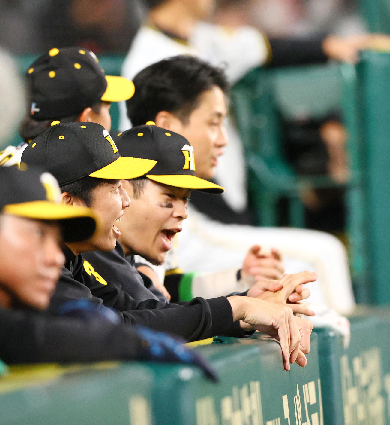 阪神対オリックス　9回裏阪神1死満塁、ベンチで声を出す佐藤輝（撮影・上山淳一）
