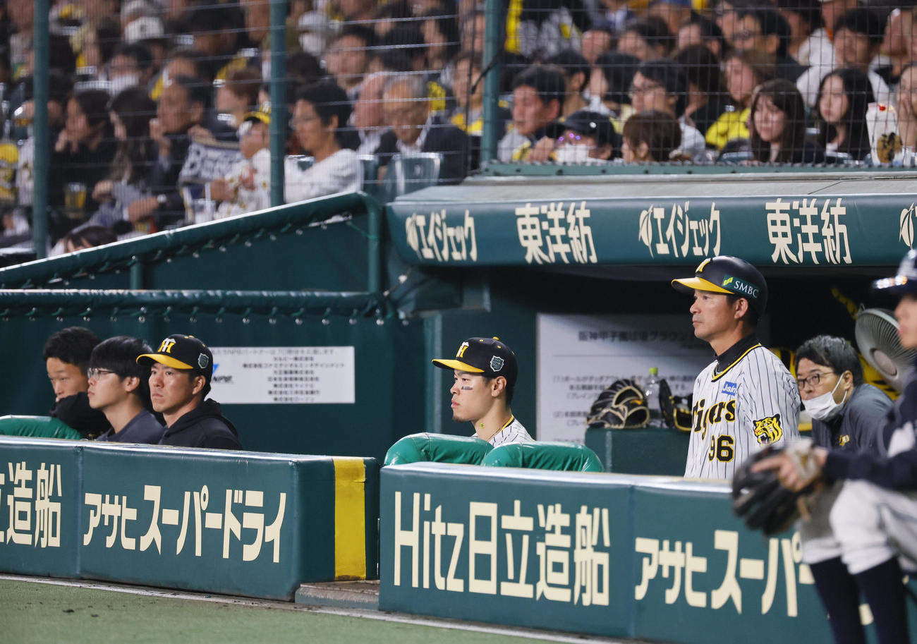 阪神対オリックス　8回、ベンチから試合を見る阪神佐藤輝（中央）（撮影・藤尾明華）