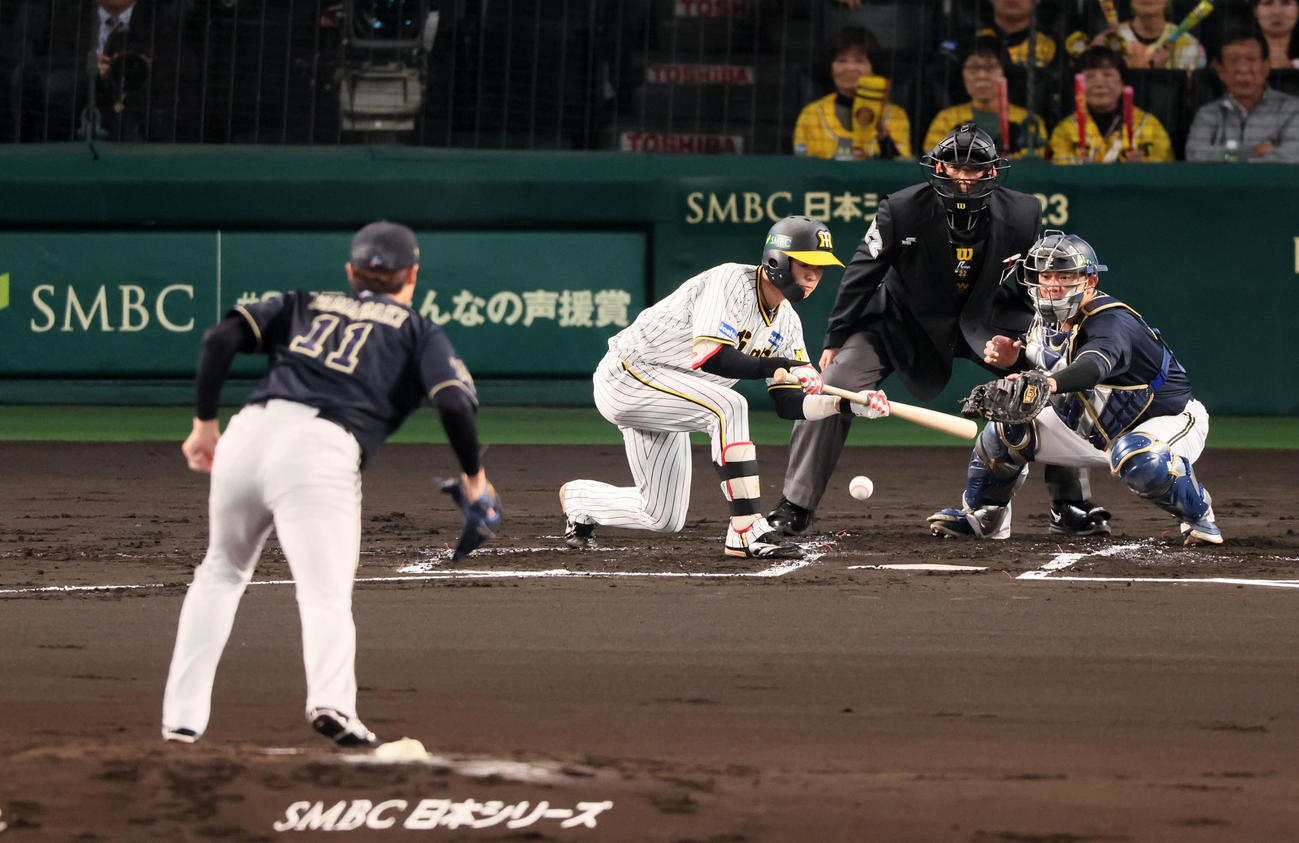 阪神対オリックス　1回裏阪神無死一塁、中野は投前犠打を決める。投手は山■（■は崎の大が立の下の横棒なし）福（撮影・加藤哉）