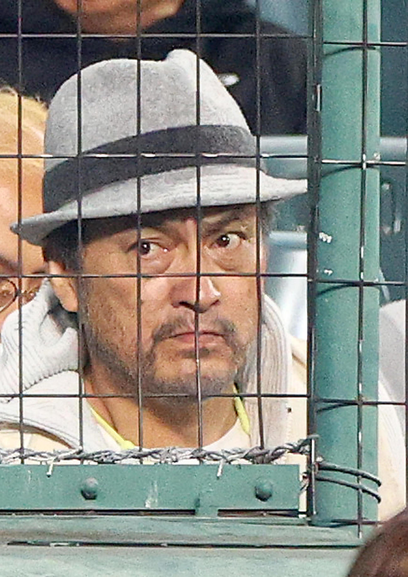 阪神対オリックス　試合を観戦する渡辺謙（撮影・上山淳一）