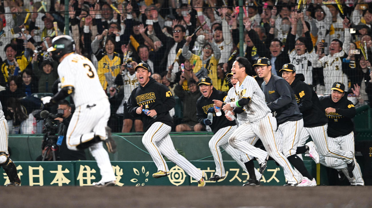 阪神対オリックス　9回裏阪神1死満塁、サヨナラ打を放った大山に駆け寄る歓喜のナイン（撮影・和賀正仁）