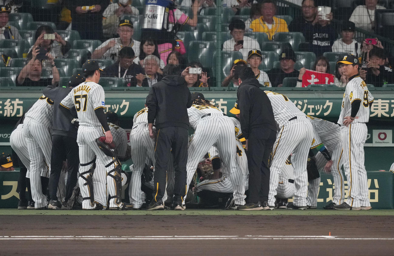阪神対オリックス　試合前、円陣を組む阪神ナイン（撮影・菅敏）