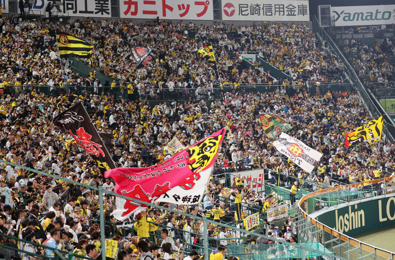 阪神対オリックス　声援を送る阪神ファン（撮影・加藤哉）