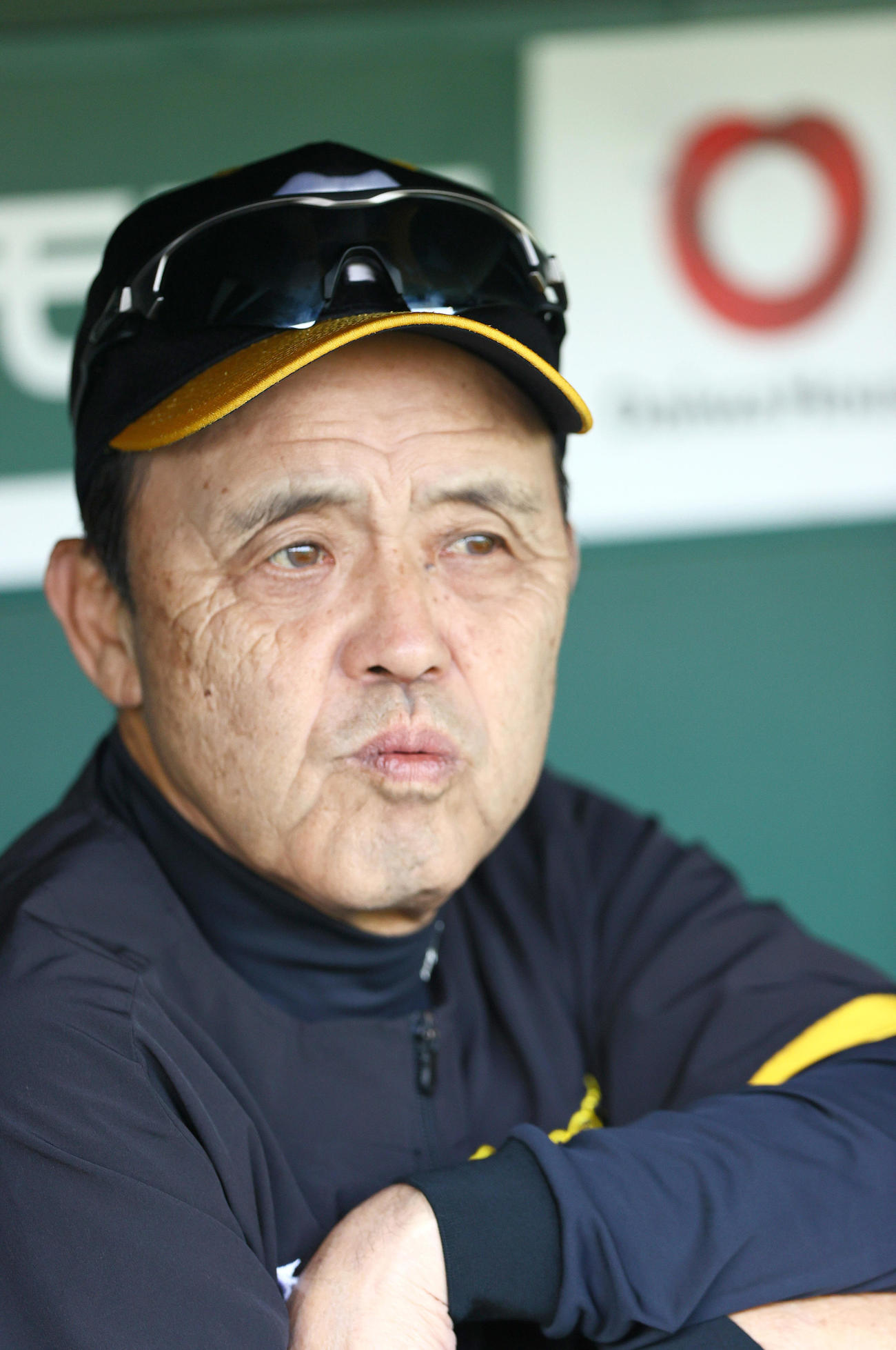 阪神対オリックス　試合前の練習を見守る阪神岡田監督（撮影・上山淳一）