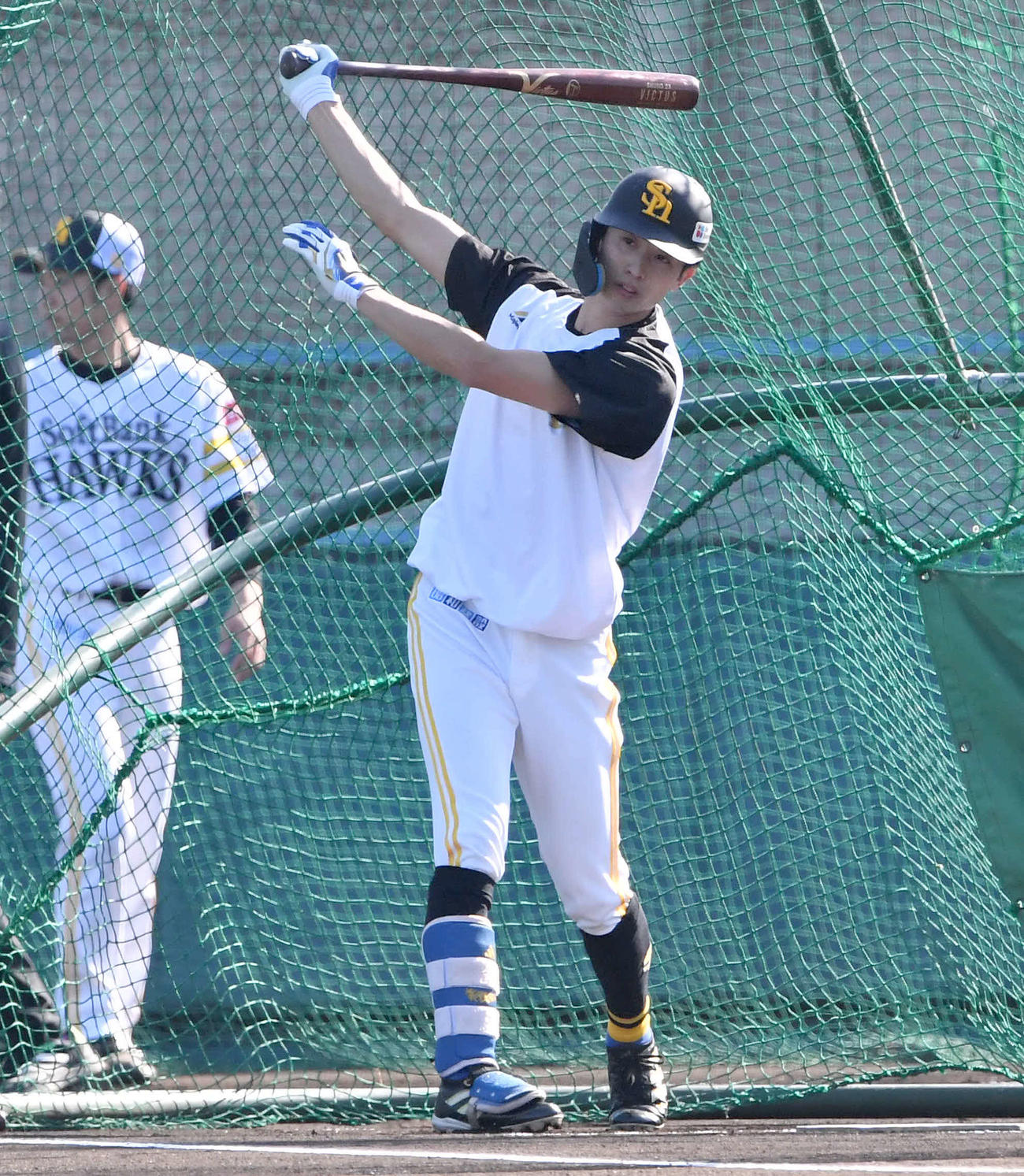 フリー打撃を行う周東（撮影・岩下翔太）