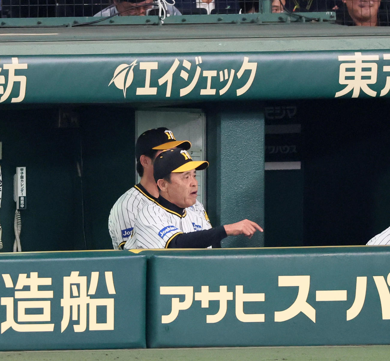 阪神対オリックス　3回表オリックス1死、岡田監督は広岡が何度かタイムを要求して打席をはずし、さすがにベンチから声を荒げて何事か口にする（撮影・加藤哉）