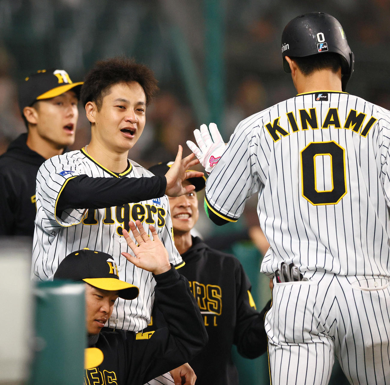 阪神対オリックス　5回裏阪神無死一塁、送りバントを決めた木浪（右）をベンチで迎える大竹（左から2人目）（撮影・上山淳一）