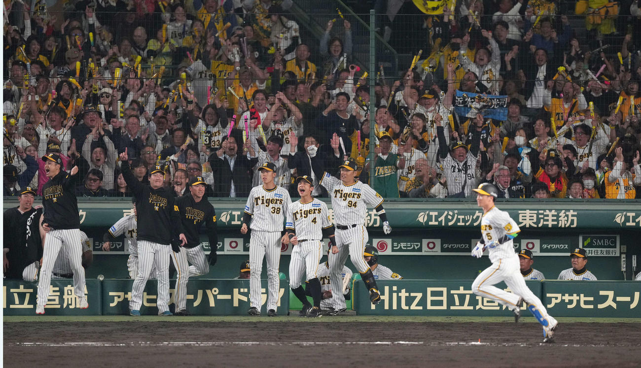 阪神対オリックス　8回裏阪神無死一、三塁、近本（手前）の適時打に盛り上がる阪神ナイン（撮影・菅敏）