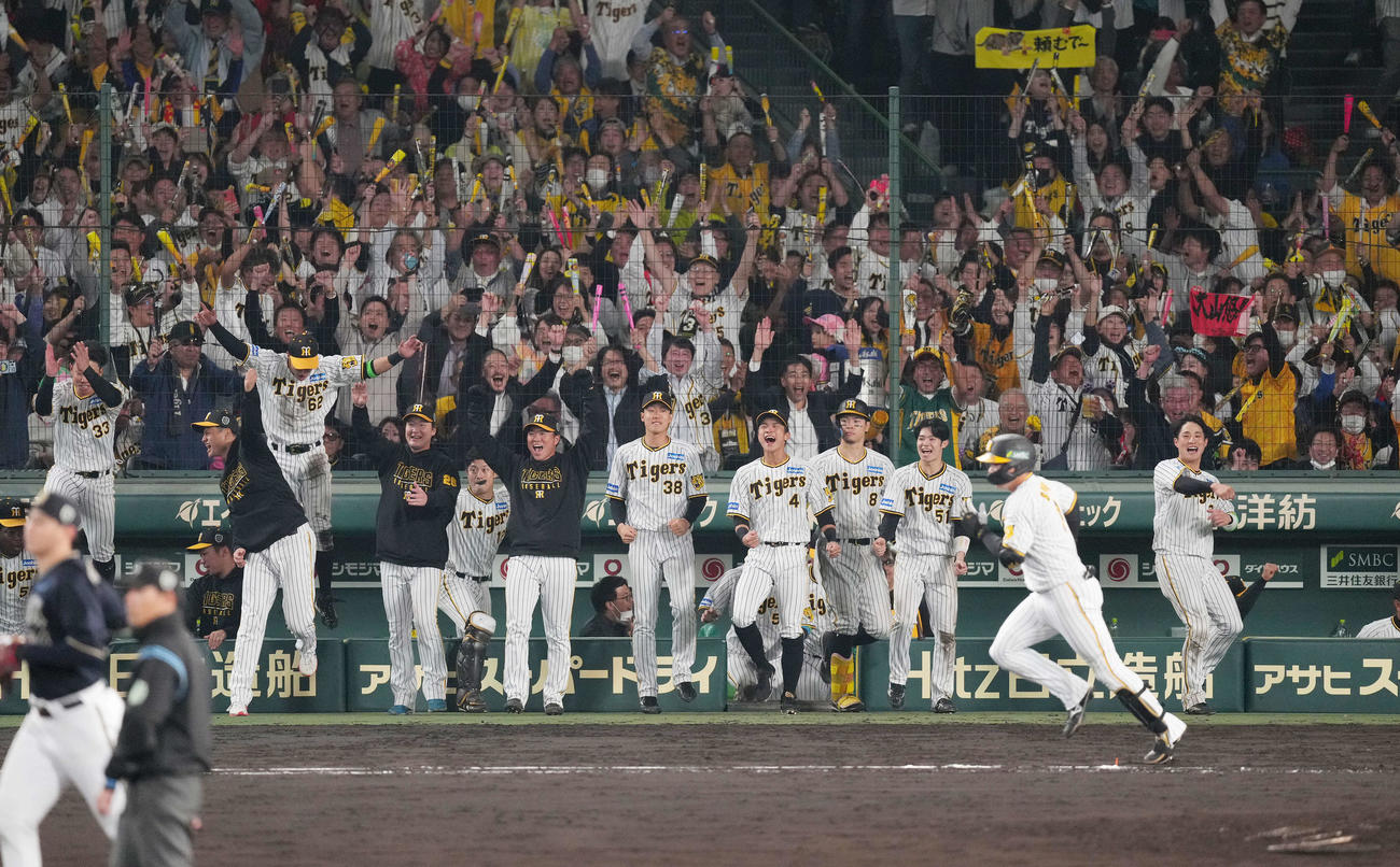 阪神対オリックス　8回裏阪神1死三塁、大山（手前）の適時打に喜びを爆発させる阪神ナイン（撮影・菅敏）