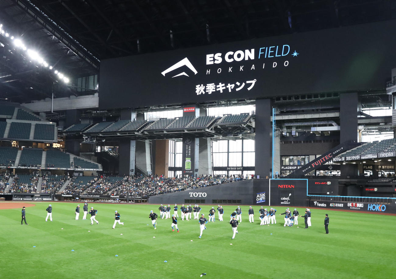 秋季キャンプが行われるエスコンフィールド北海道（撮影・佐藤翔太）