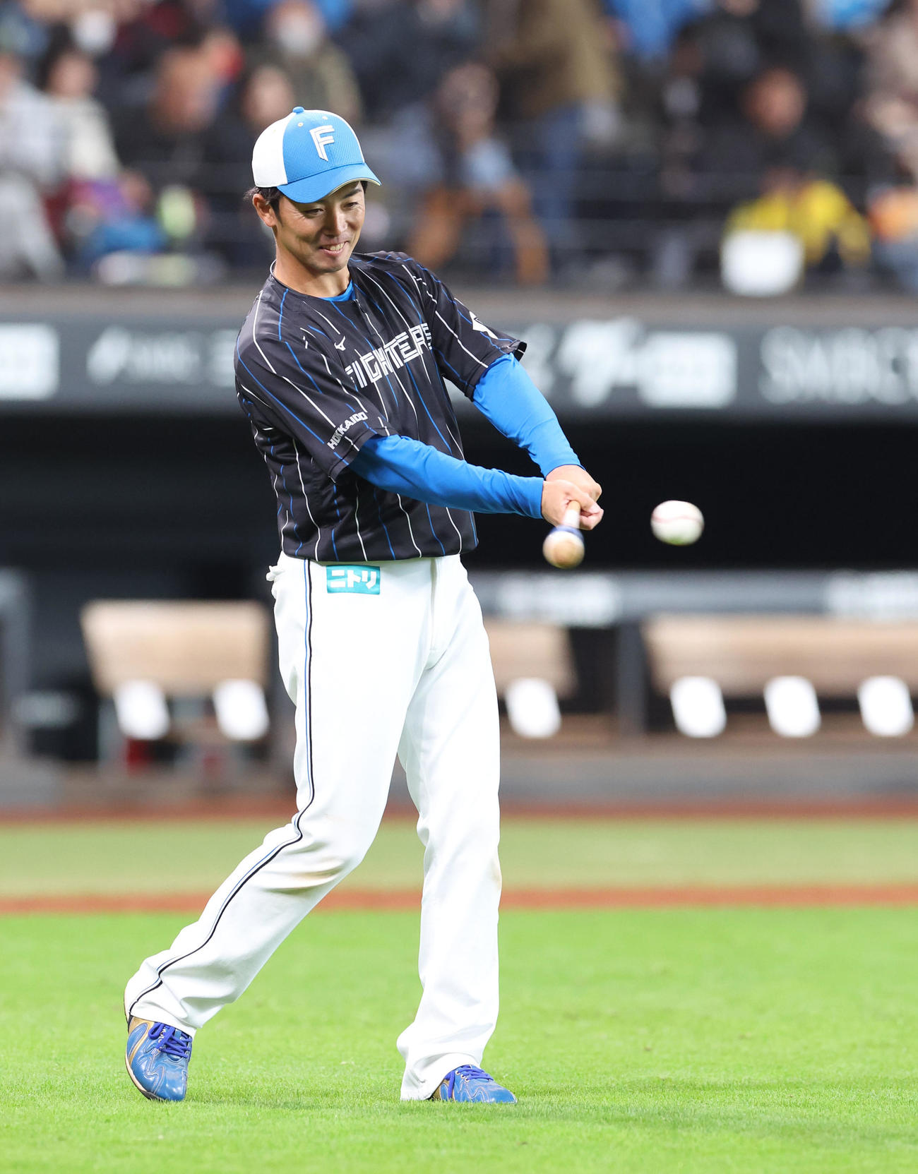 ノックを打つ日本ハム谷内内野守備コーチ（撮影・佐藤翔太）