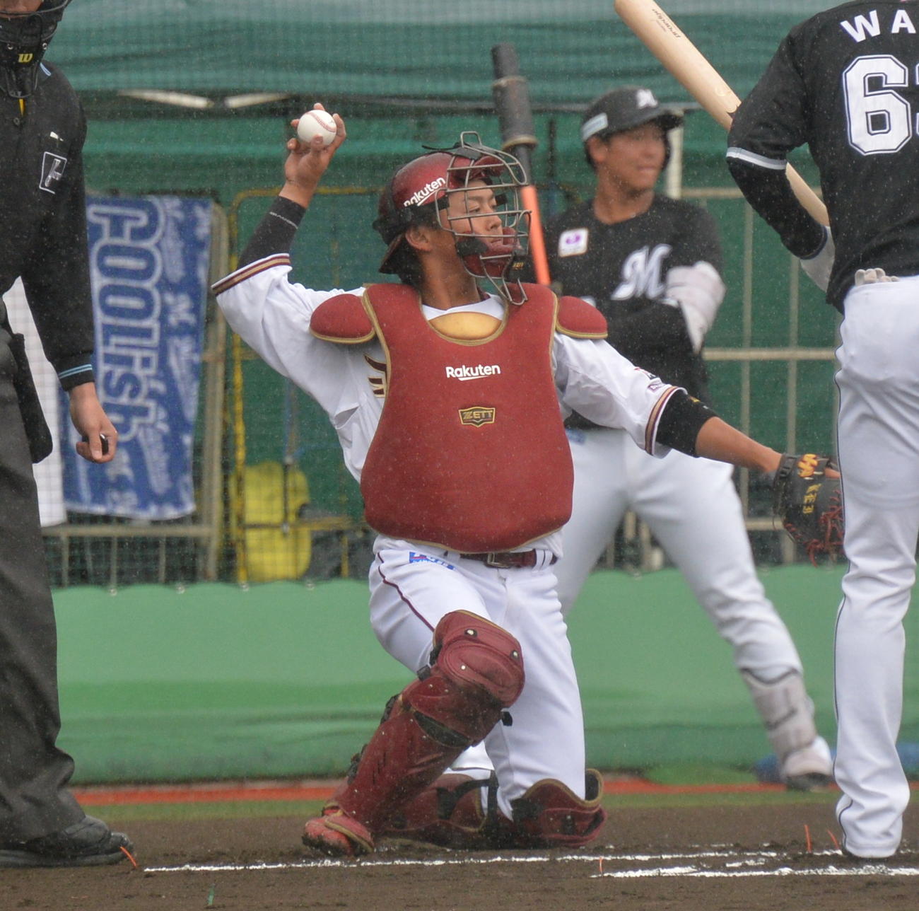 楽天水上桂（2023年4月撮影）