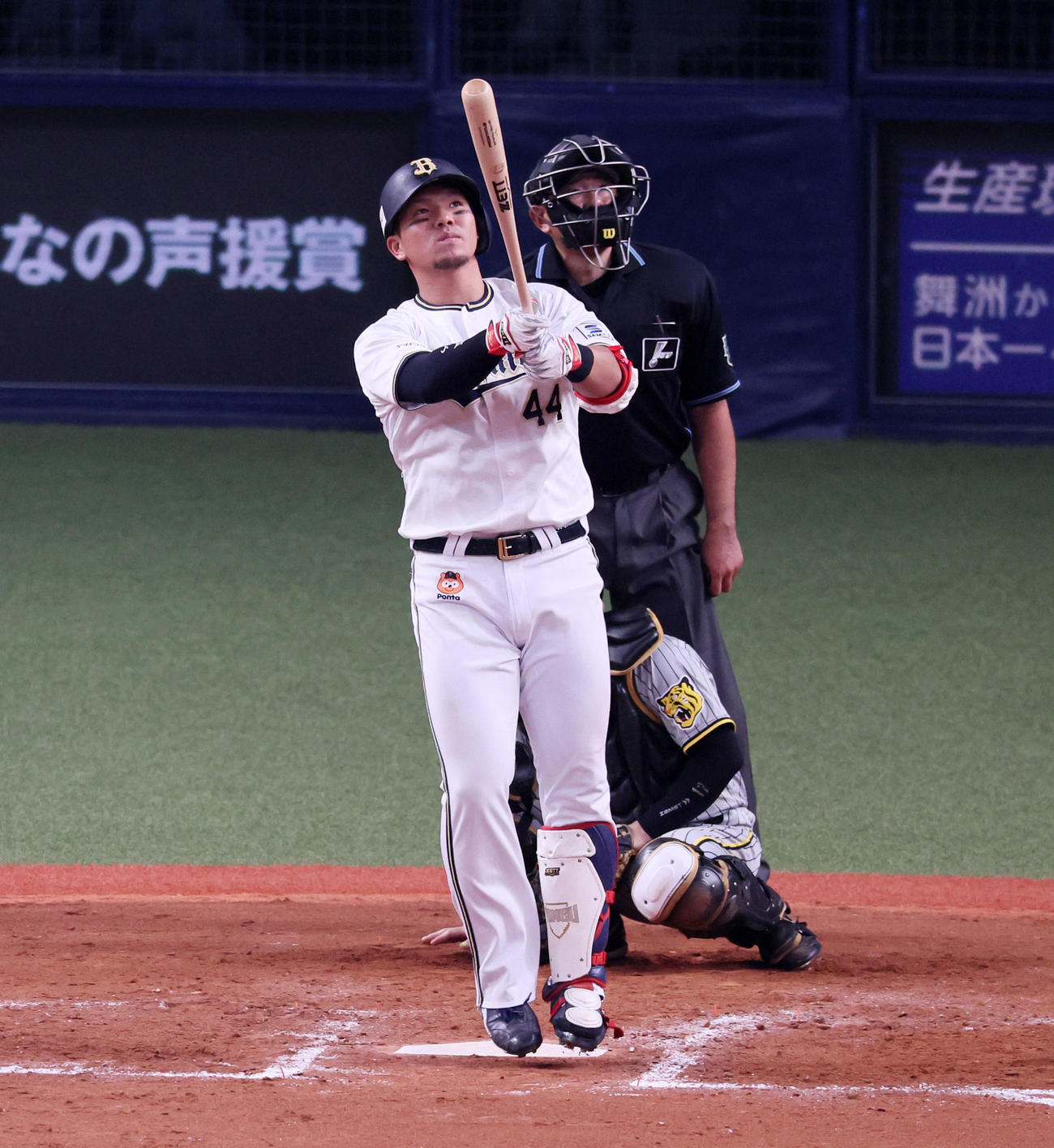 オリックス対阪神　8回裏オリックス無死、頓宮は左越えソロ本塁打放つ（撮影・加藤哉）