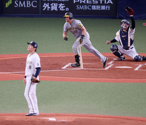 オリックス対阪神　2回表阪神1死、ノイジーは右越えソロ本塁打を放つ。投手は山本（撮影・加藤哉）